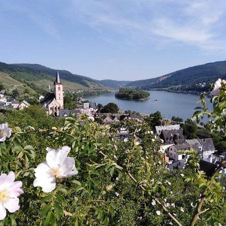 Rheingau Und Weltkulturerbe Mittelrheintal Erleben - Ferienappartement In Winkel Естріх-Вінкель Екстер'єр фото