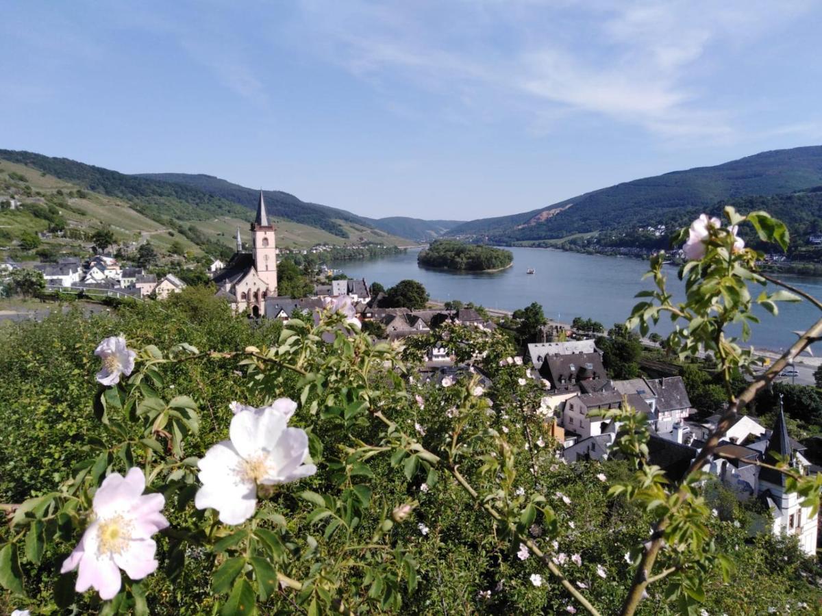 Rheingau Und Weltkulturerbe Mittelrheintal Erleben - Ferienappartement In Winkel Естріх-Вінкель Екстер'єр фото